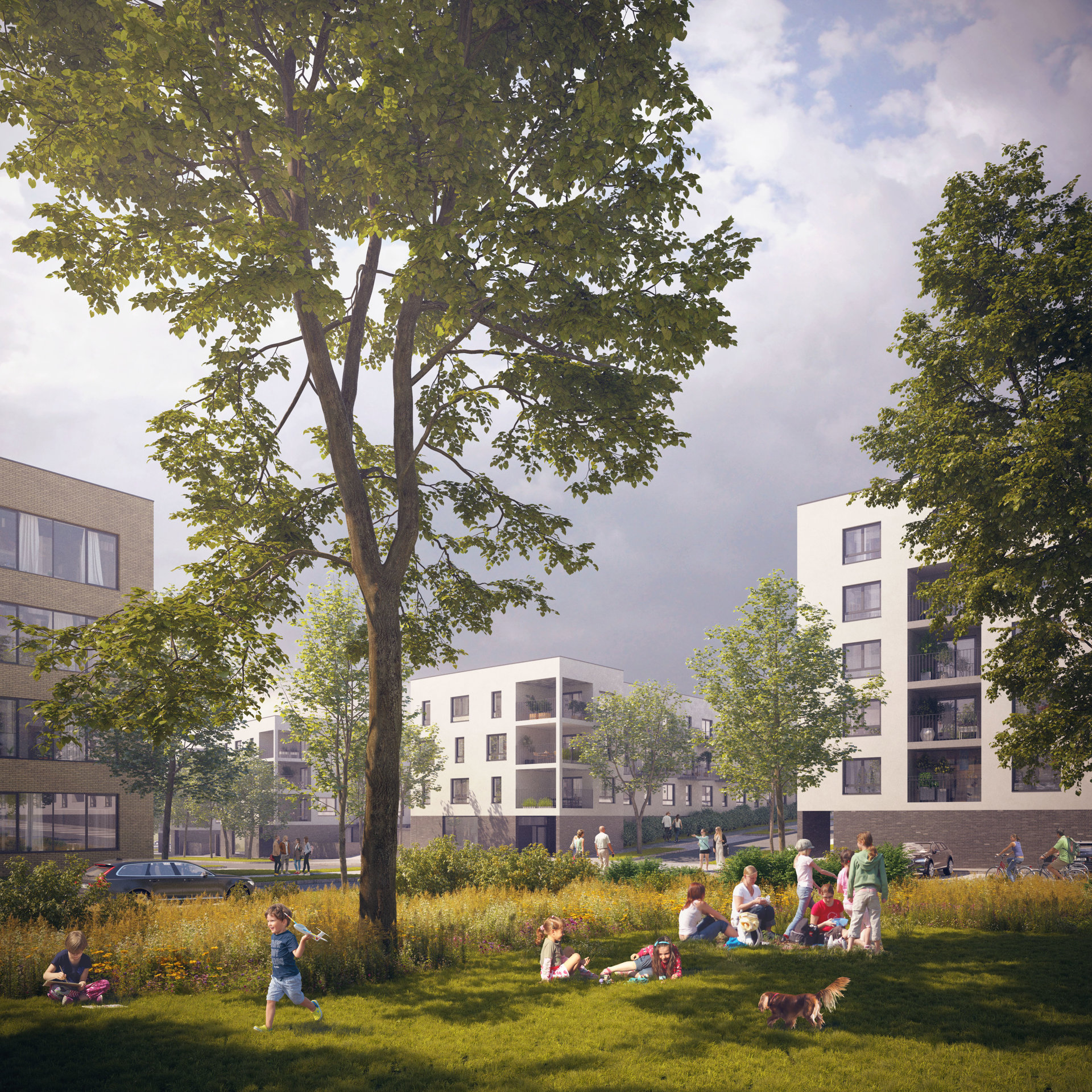 Kuřim IV. etapa (BD 107)